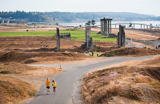 Chambers Bay Trail