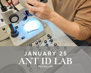 Ant ID Lab: A Must-Attend Workshop for Pest Management Professionals