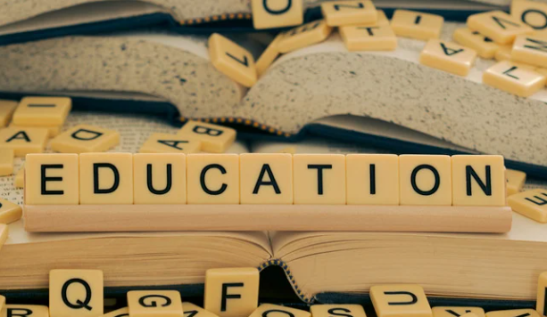 Education & Professional Development: Learning, Leadership, and Connection